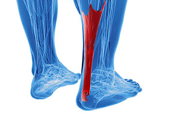 achilles tendon treatment in the Bahamas, New Providence: Nassau (Golden Gates Estates, Palmdale, Downtown Nassau, Little Hermitage, Elizabeth Estates, Greater Chippingham, Jubilee Subdivision, Palm Cay, Carmichael Village, Adelaide, Adelaide Village, Highbury Park, Kensington Garden) areas